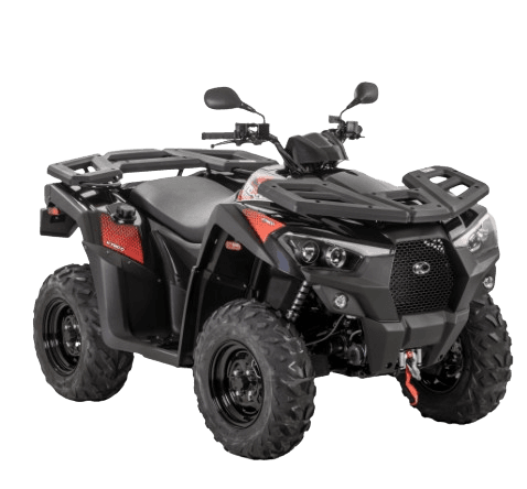 Quad view 2